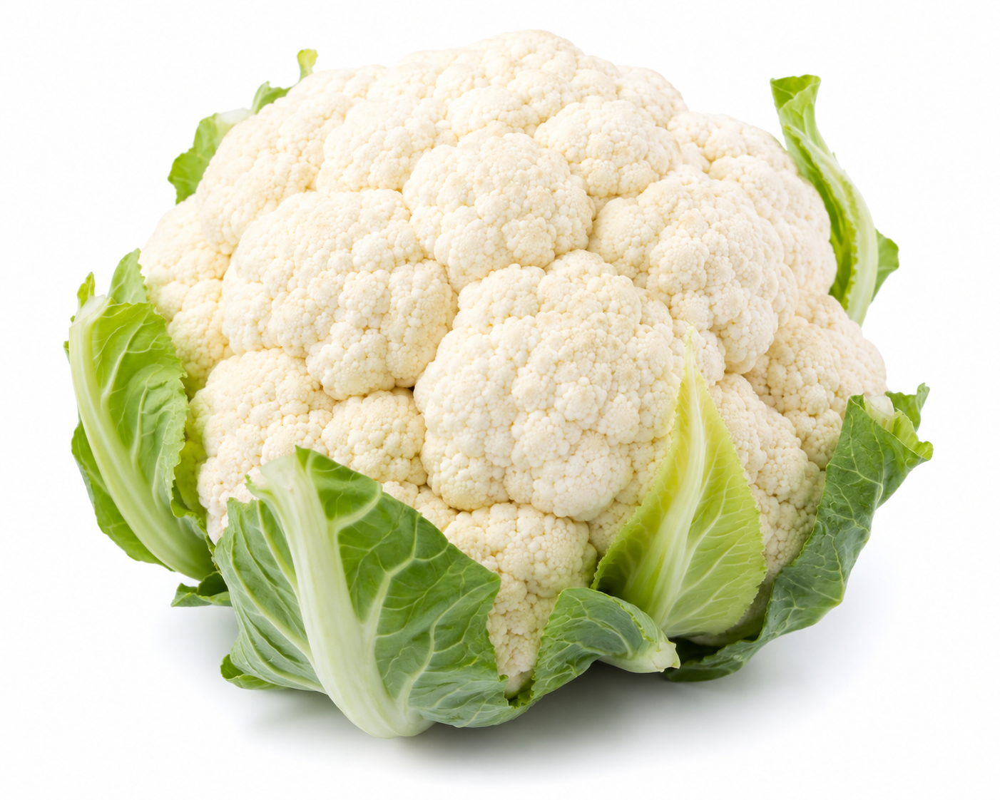 Fresh white cauliflower with crisp green leaves isolated on a white background.