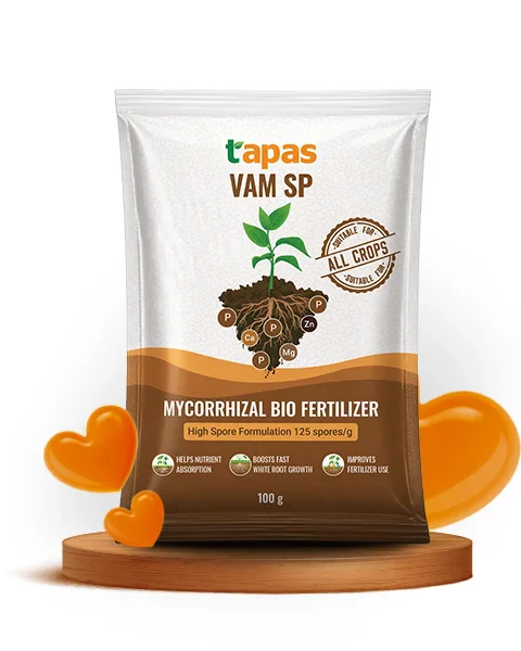 batch_vamsp